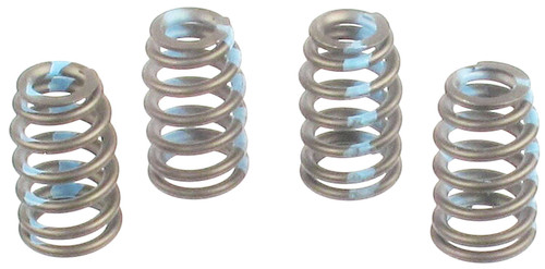Engine Valve Spring - Qty 1 | 66ERV-3613S