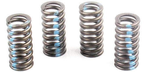 Engine Valve Spring | 66ERV-3561S