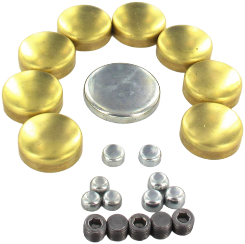 Engine Expansion Plug Kit | 66EEP100BR