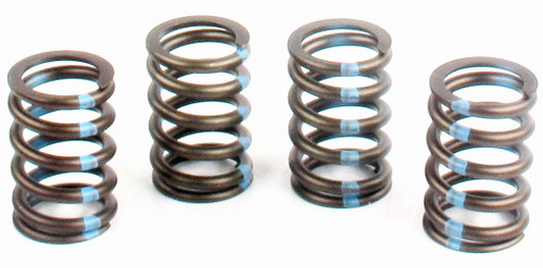 Engine Valve Spring | 66ERV-1193S