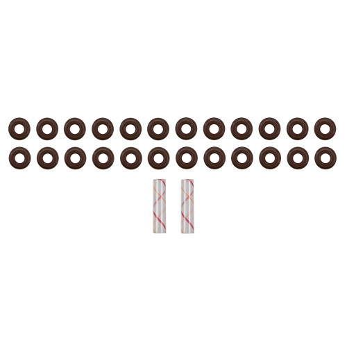 Engine Valve Stem Oil Seal Set | 557SS 73055