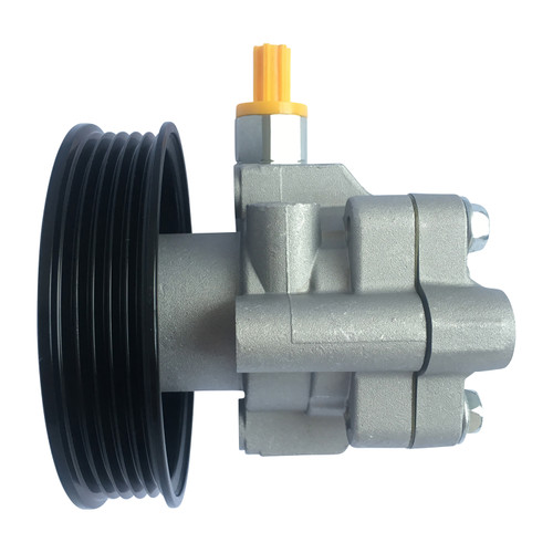 Power Steering Pump W/Pulley | EPS6028P