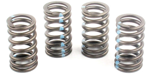 Engine Valve Spring | 66ERV-3546S