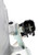 7SAS17C Compressor | 4SE168391