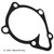 Water Pump Gasket | BEC039-4164