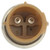 System Mounted High Cut-Out Pressure Switch | 4SE20053