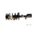 Complete Corner Unit Assembly -Strut, Mount and Spring | KYBSR4118