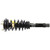 Quick-Strut Front Suspension Strut and Coil Spring Assembly | MON172281