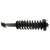 Complete Corner Unit Assembly -Strut, Mount and Spring | KYBSR4443