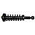 Quick-Strut Front Suspension Strut and Coil Spring Assembly | MON171362