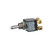 Toggle Switch | BWDS624