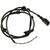 ABS Speed Sensor Wire Harness | BWDABH246