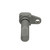 Crankshaft Sensor | BWDCSS139