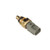 Coolant Temperature Sensor | BWDWT5067