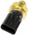 Exhaust Pressure Sensor | DOR904-7163