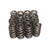 Performance Street 1.290 OD Beehive Spring; 1.800 Installed Height; 16 Springs | CCM26915-16