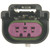 Fuel Tank Pressure Switch Connector | BWDPT989