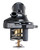 Engine Coolant Water Outlet with Thermostat | 4SE86239