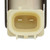 Canister Purge Solenoid | BWDCP999