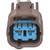 Multi Function Connector | BWDPT2913