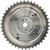 Engine Variable Valve Timing Sprocket | BWDVV5258