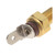 Temperature Sender - With Gauge | BWDWT514
