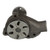 Engine Water Pump | CWPW536M