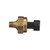 Exhaust Back Pressure Sensor | BWDEGR174