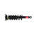 Quick-Strut Rear Suspension Strut and Coil Spring Assembly | MON172567