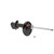 Excel-G Gas Strut | KYB334378
