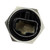Back-Up Light Switch | BWDS9219