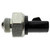 Back-Up Light Switch | BWDS9219