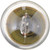 Standard Miniature 1003 - Qty 1 Bulb | PHI1003CP