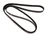 Automotive Metric Multi-V Belt | CON6PK1038