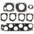 Fuel Injection Plenum Gasket Set | 557MS 96167