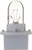 Standard Miniature PC194 - Qty 1 Bulb | PHIPC194CP