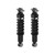 Load Adjusting Rear Suspension Shock Absorber and Coil Spring Assembly Pack of 2 | MON58574