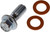 Brake Hose Bolts M10-1.5 X 24.4mm | DOR13936