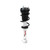 RS5000X Front Suspension Strut and Coil Spring Assembly | 665RS551845