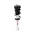 RS5000X Front Suspension Strut and Coil Spring Assembly | 665RS551845
