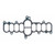 Fuel Injection Plenum Gasket Set | 557MS 95962