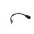 Coolant Temperature Sensor | BWDWT5149