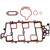 Fuel Injection Plenum Gasket Set | 557MS 95812
