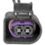 Crankshaft Sensor Connector | BWDPT2856