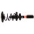 Quick-Strut Rear Right Suspension Strut and Coil Spring Assembly | MON371662R