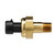 Oil Pressure Gauge Switch | BWDS4301