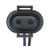 Back-Up Lamp Connector | BWDPT5673