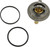 Thermostat Insert | REICTN0063