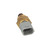 Intake Air Temperature Sensor | BWDWT5275