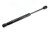 Trunk Strut | UROFD0816550